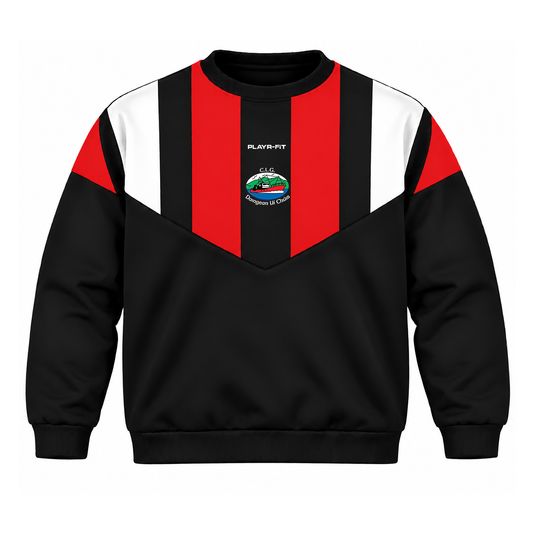 Dingle LGFA Legacy Jumper - Kids