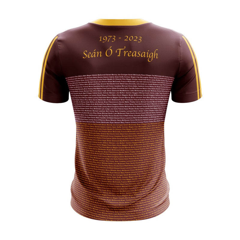 Load image into Gallery viewer, Sean Treacys Hurling Club Lurgan Jersey 50th Anniversary (Names) - Kids

