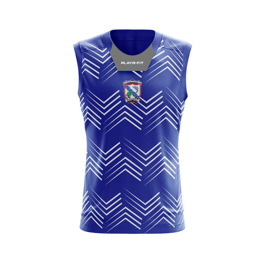 Oylegate Glenbrien GFC Vest E17 - Adults