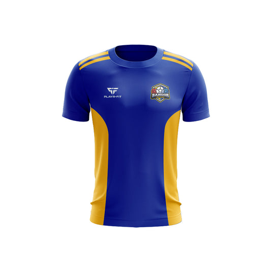 Bangor Boccia Club T-Shirt Endure Blue/Yellow Gold - Adults