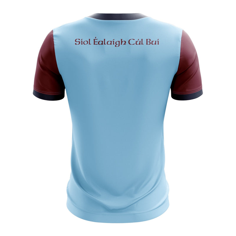 Load image into Gallery viewer, Shillelagh Coolboy Co Jersey (C04) - Adults
