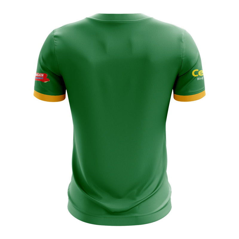 Load image into Gallery viewer, Clann na nGael Athboy Training Jersey (C10) - Adults
