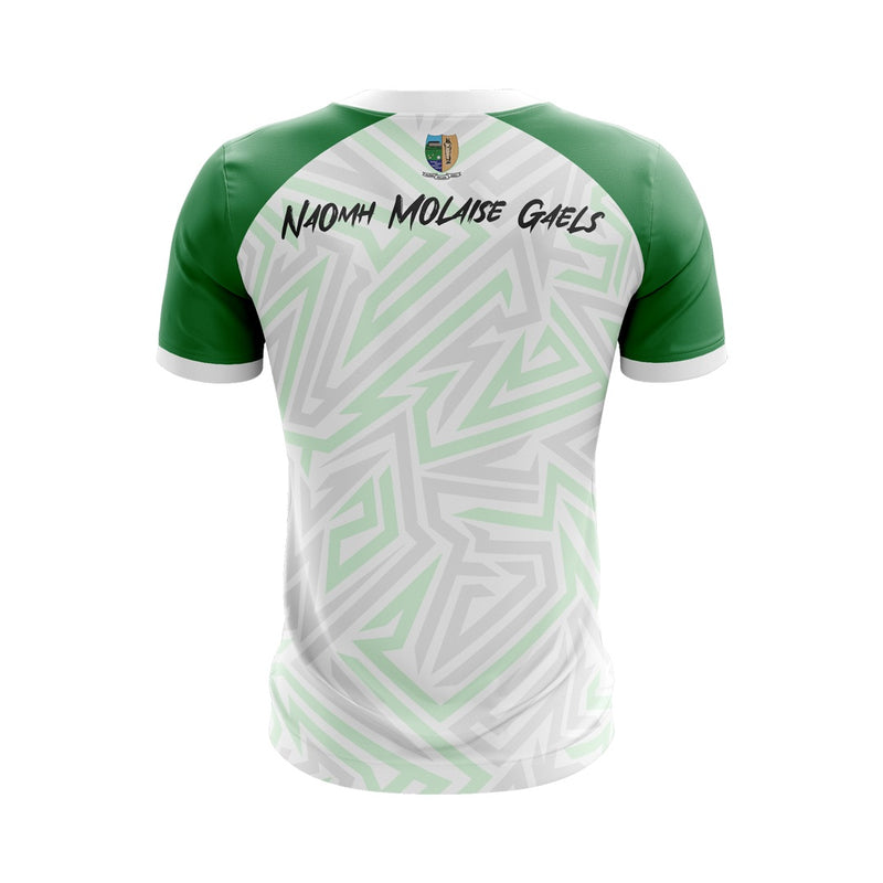 Load image into Gallery viewer, St Molaise Gaels Jersey C31 - Kids
