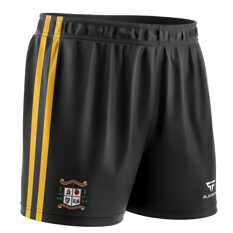 Load image into Gallery viewer, Patrician Secondary School Newbridge Pack 1 (Midlayer, Jersey, Skinny Pants, Shorts, Mid Socks) - Kids
