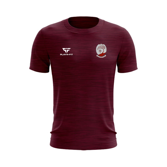 St Colmans PS Saval Staff T-Shirt (Maroon) - Kids