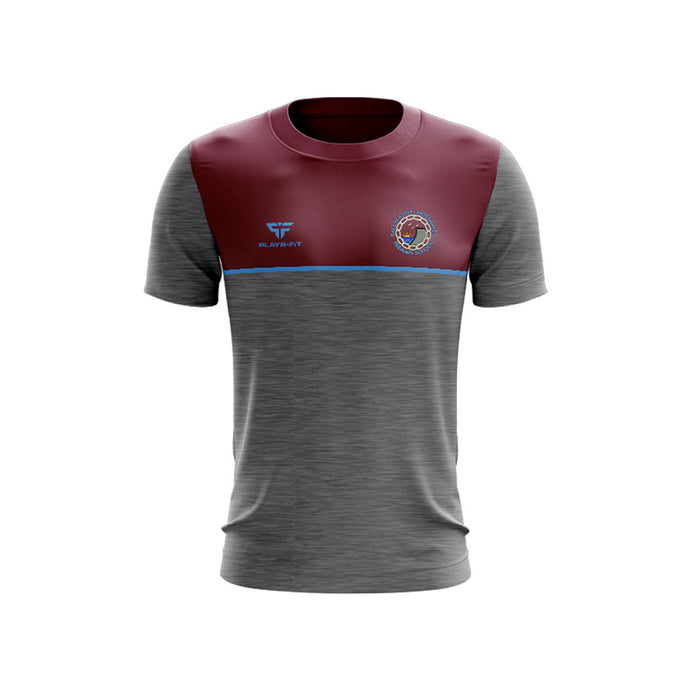 Ballycastle Integrated Primary School Students T-Shirt Spirit (Grey/Maroon/Sky) - Adults