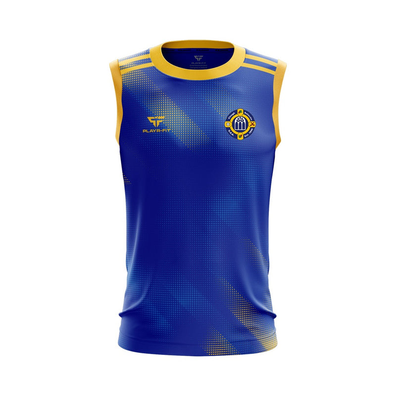 Load image into Gallery viewer, Clough Ballacolla Hurling Club Vest E01 - Adults
