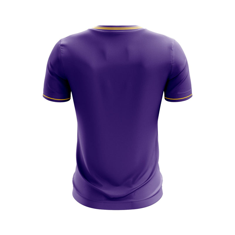 Load image into Gallery viewer, Wexford Albion Jersey E20 Purple - Adults
