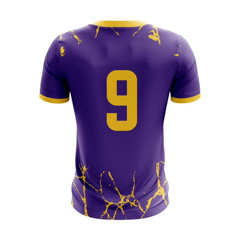 Load image into Gallery viewer, Wexford Albion Jersey Custom Purple/Gold - Kids
