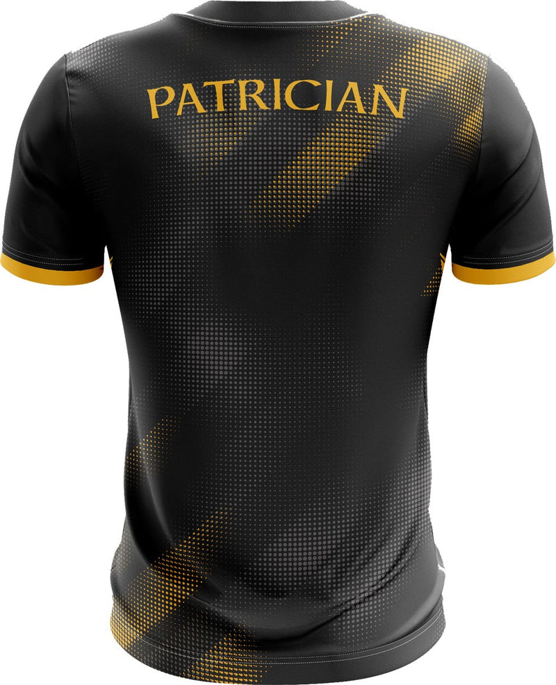 Load image into Gallery viewer, Patrician Secondary School Newbridge Jersey (E01) - Kids
