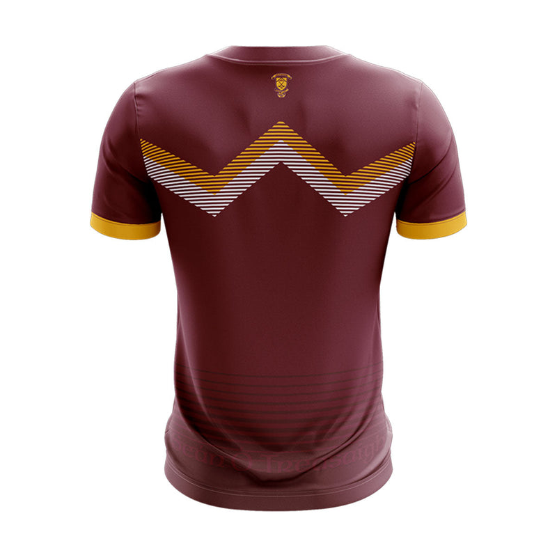 Load image into Gallery viewer, Sean Treacys Hurling Club Lurgan Jersey D24 - Kids
