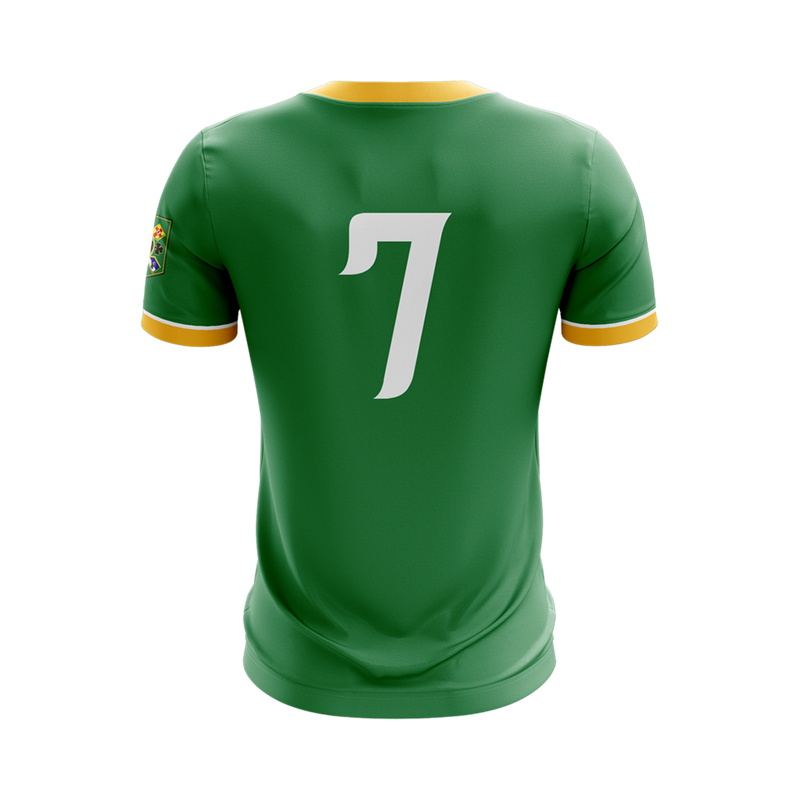 Load image into Gallery viewer, Ballyholland FC Jersey Outfield (Home) - Kids
