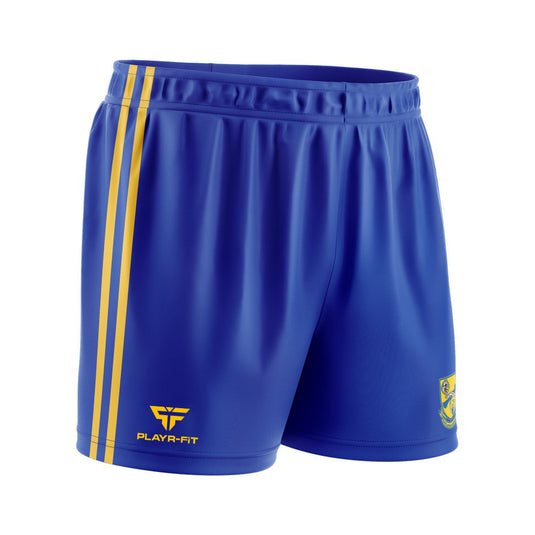 Ballydesmond Handball Club Training/Playing Shorts - Kids