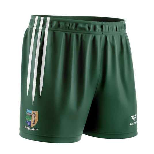 St Molaise Gaels Sublimated Shorts (07 Green) - Kids