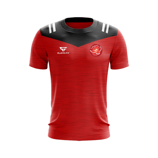 Tullygally Primary School Teachers T-Shirt Tenacity (Black/Red/White) - Kids