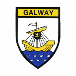 galway-retro-crest